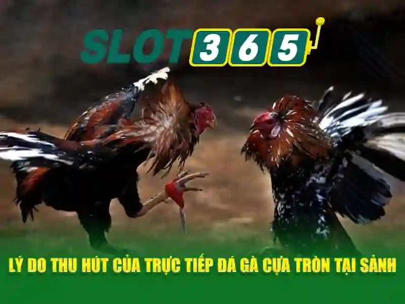 Tải App Slot365