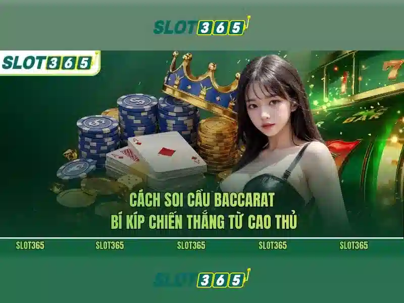 Quyền và nghĩa vụ người chơi