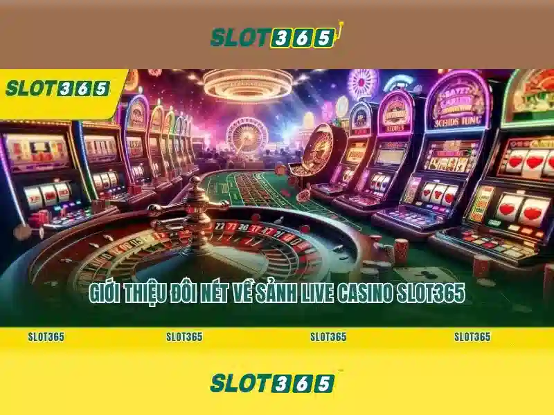 Tại Sao Chọn Slot365