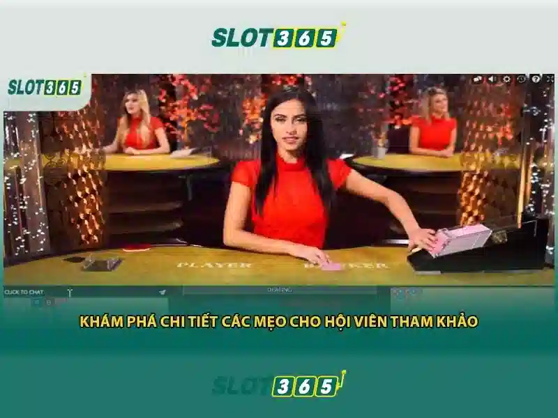 hỗ trợ Slot365
