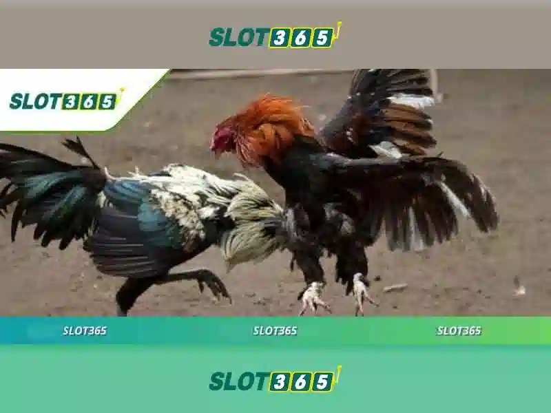 Hướng Dẫn Đăng Ký SLOT365 2026