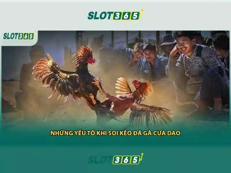 ưu đãi Slot365