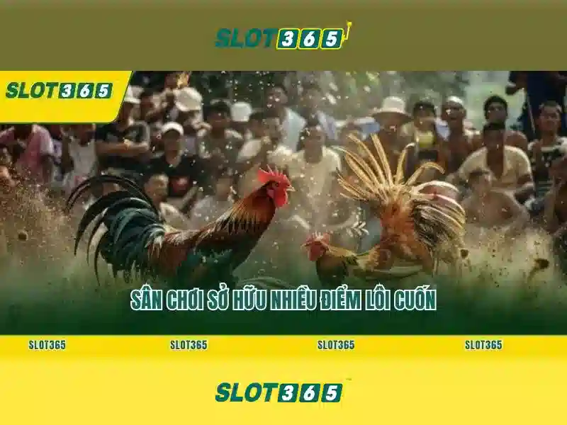 Tại Sao Nên Đăng Ký Slot365 Com1