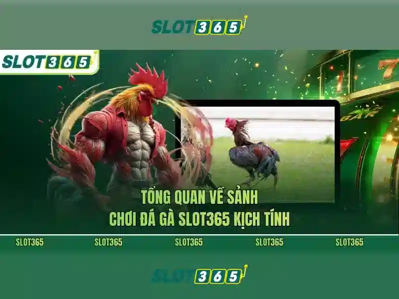 Chính Sách Bảo Mật SLOT365 Đảm Bảo An Toàn Cho Người Dùng