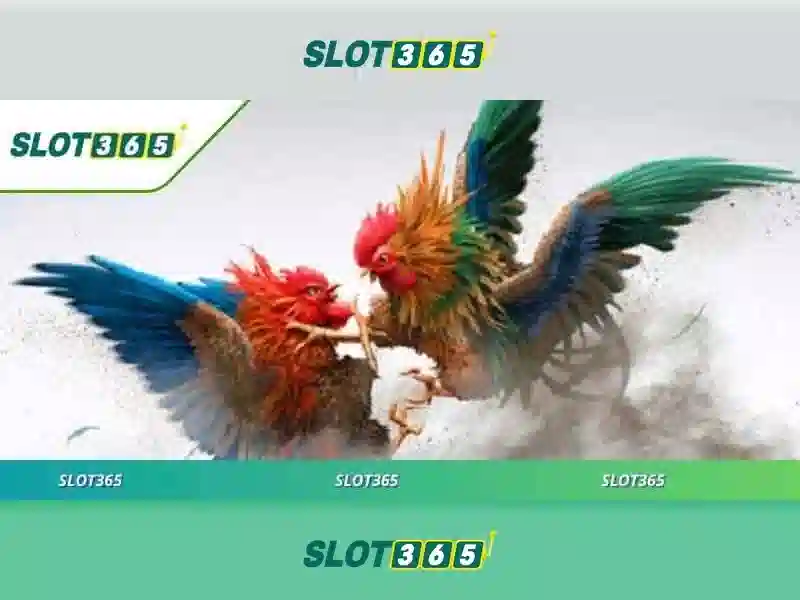 Hướng dẫn tải Slot365 app chi tiết