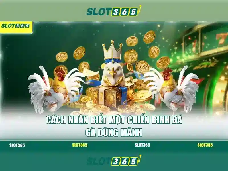 slot365 là gì