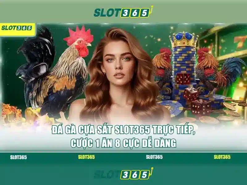 Trải Nghiệm Slot365