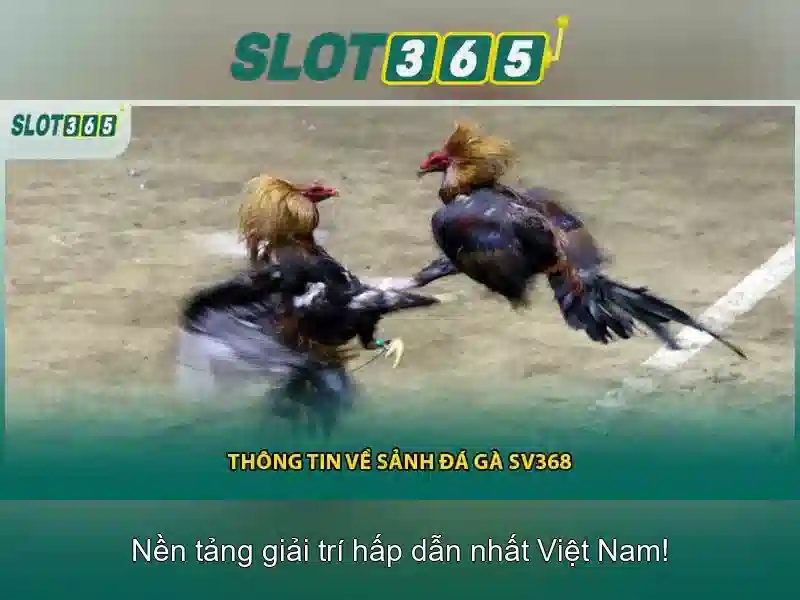 SLOT365 – Trải Nghiệm Rút Thưởng Độc Quyền Với Ưu Đãi Slot365