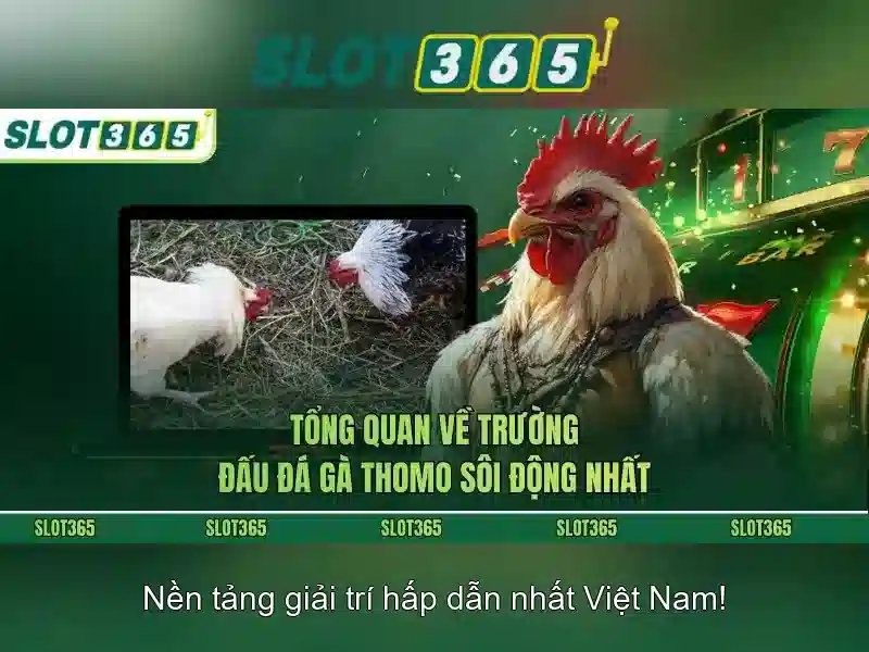 Trải Nghiệm Slot365