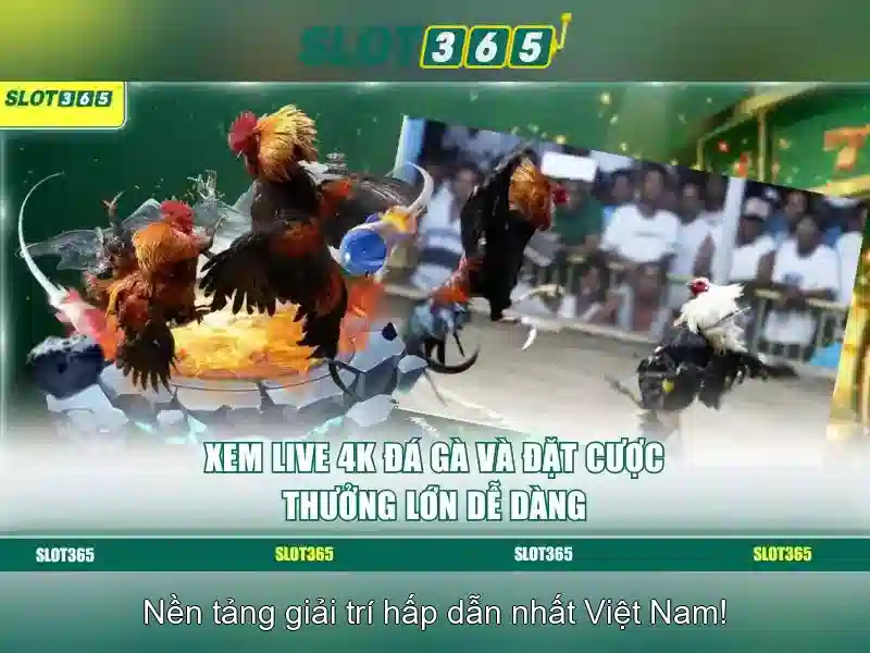 Đa Dạng Trò Chơi Slot Tại Slot365