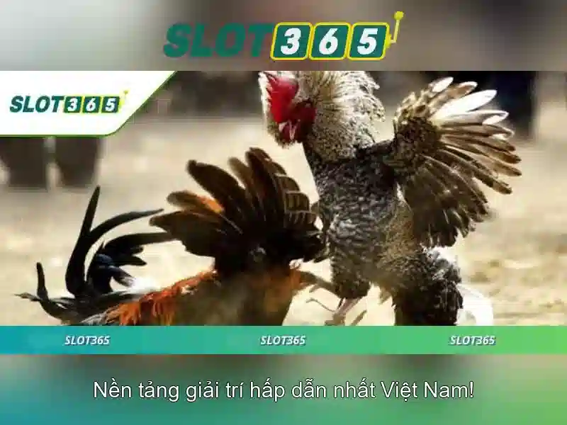 Chương Trình Ưu Đãi SLOT365