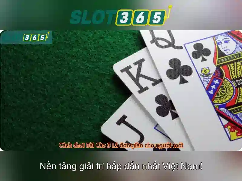 Trải Nghiệm Slot365 Trên Di Động