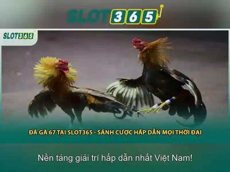 Slot365 APK di động