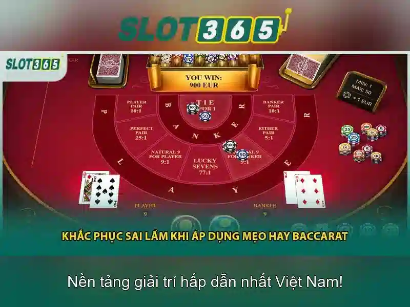Đá Gà SLOT365 – Hướng Dẫn Sử Dụng Và Ưu Đãi Độc Quyền